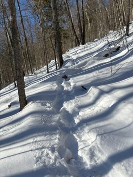snowshoeing
